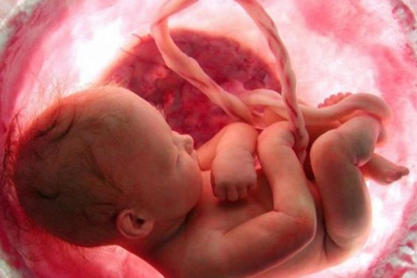 كيف يتنفس الجنين فى رحم أمه؟ و لماذا لا يغرق؟!
