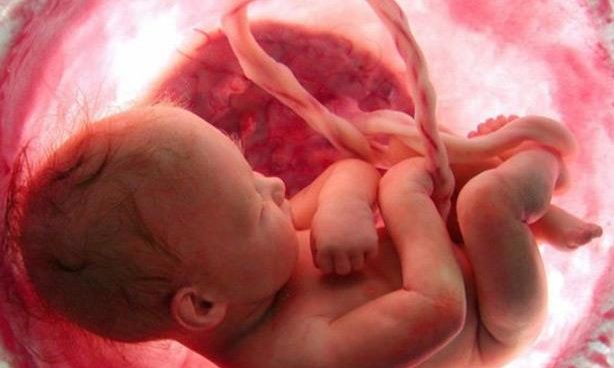 كيف يتنفس الجنين فى رحم أمه؟ و لماذا لا يغرق؟!