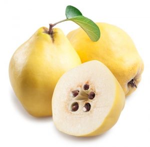 السفرجل